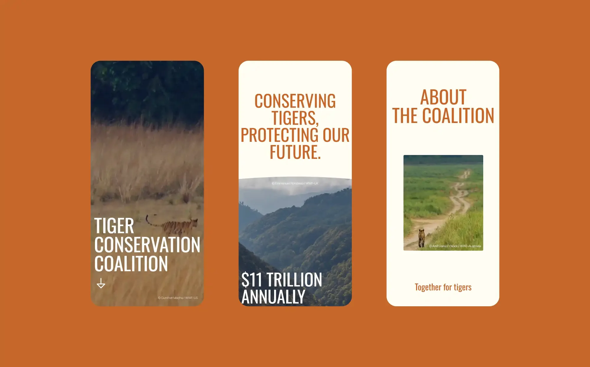 Tiger Conservation Coalition, 08