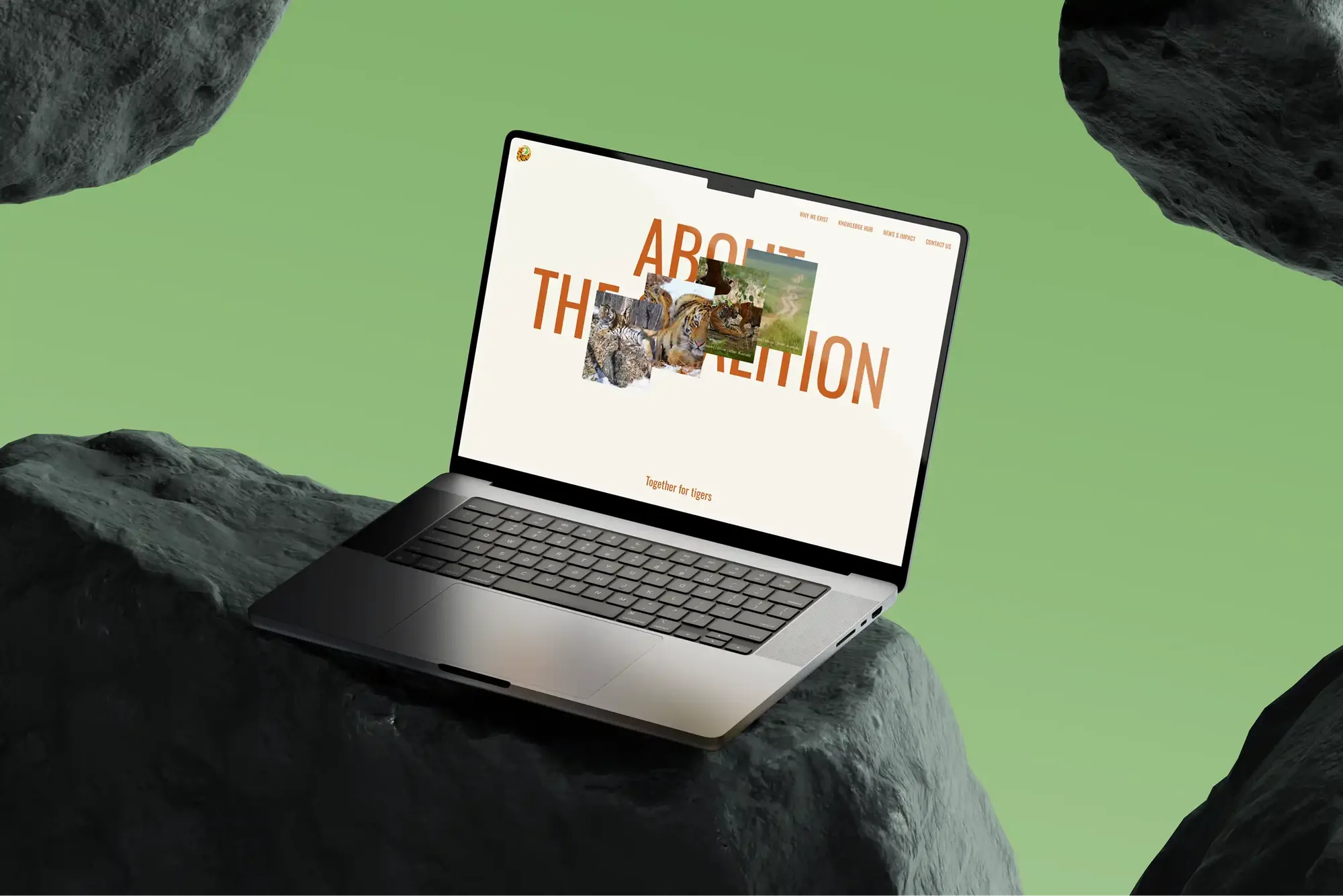Tiger Conservation Coalition, 09
