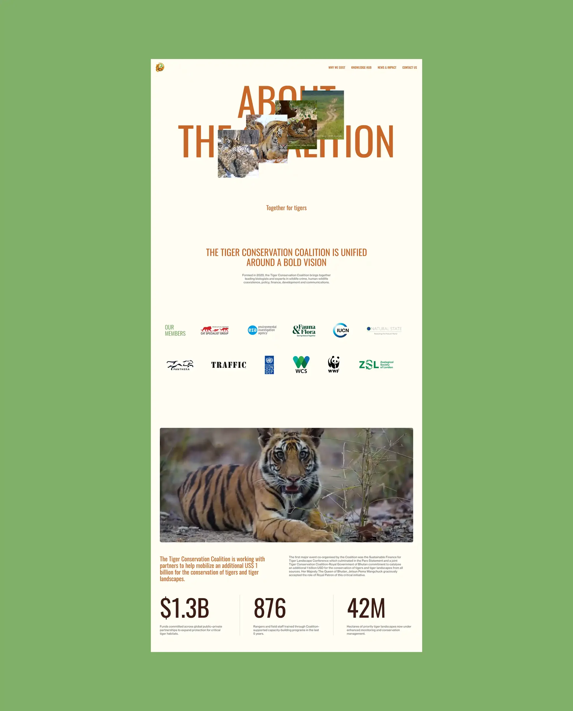 Tiger Conservation Coalition, 10