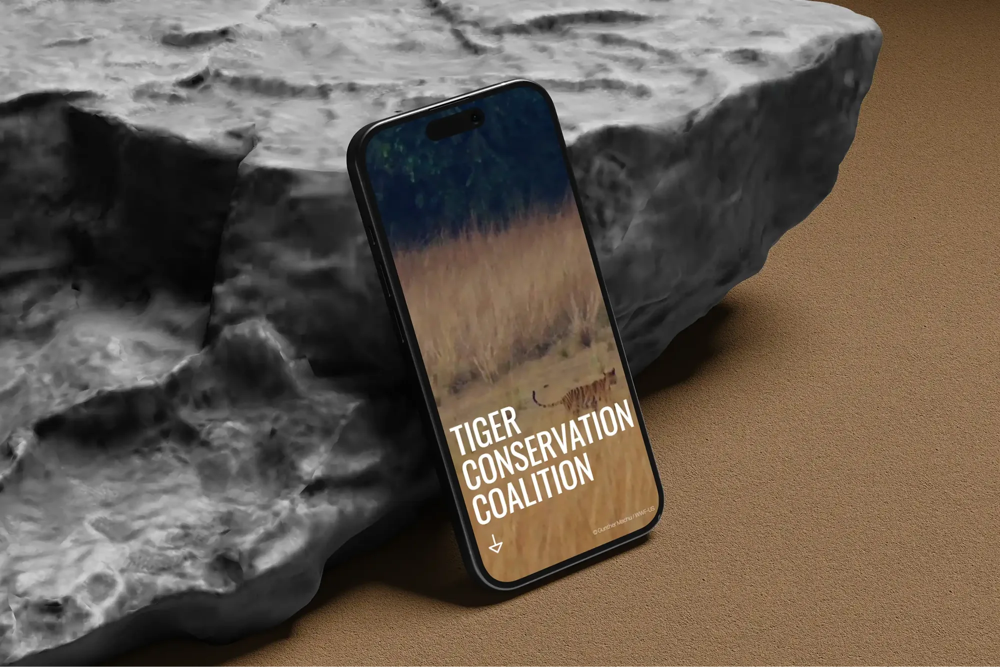 Tiger Conservation Coalition, 11